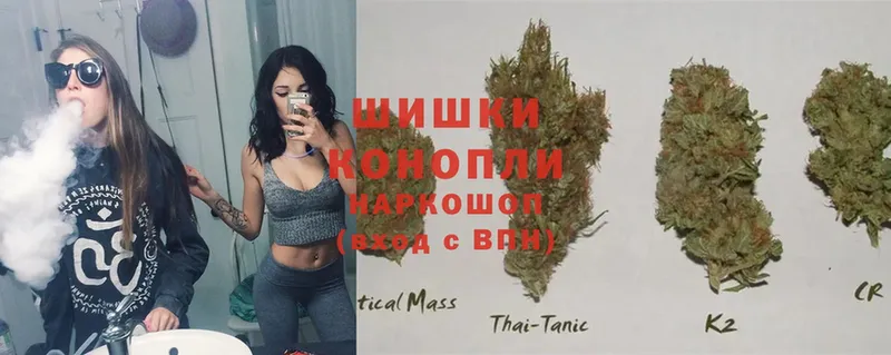 Шишки марихуана SATIVA & INDICA  закладка  Черкесск 